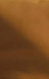 ۲متر پارچه عرض ۱۱۵ سانت