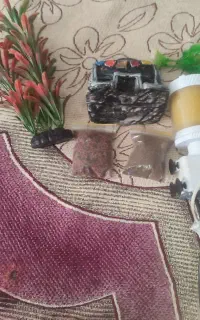 آکواریوم