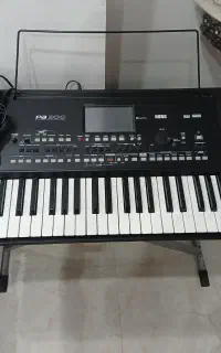 ارگ pa300