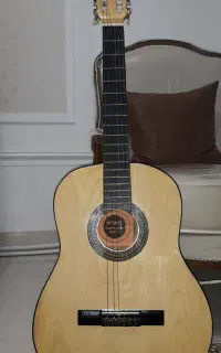 گیتار کلاسیک پارسی