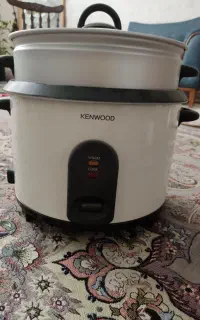 پلوپز بخار پز