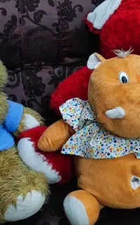 3 عدد خرس عروسکی