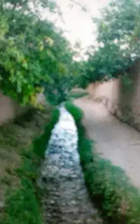 سرایدار گلخانه