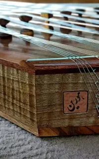 سنتور حرفه ای (هورین)