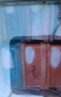 طبق و رامکه زنبور عسل
