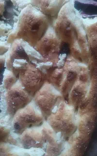 نان خشک تمیز بدون کپک