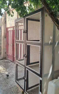 قفس شش خانه