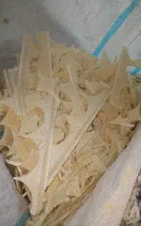 نان خشک
