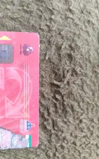 کارت سوخت گازوئیل