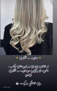 اجاره سالن یا درصدی