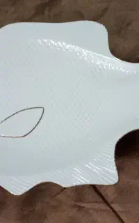دیس طرح ماهی لب طلا