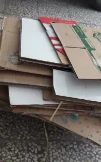 کارتون اساس کشی