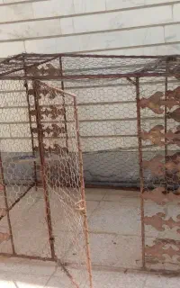 قفس پرندگان