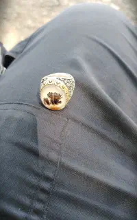 انگشتر شجر نمونه