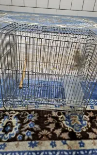 قفس پرنده