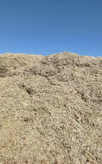 صد و بیست من کاه لوبیا فروشی