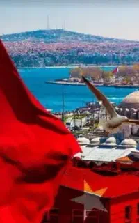 کار چوپانی اعزام فوری ترکیه دوتا قیچی زن