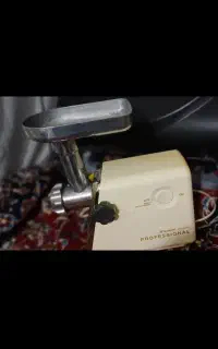 چرخ گوشت پاناسونیک