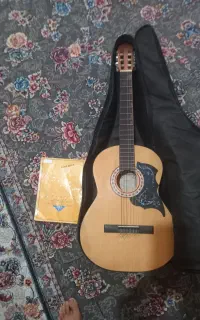 گیتار پارسی خوش دست خوش صدا مفت زدم فوری کارم گیره