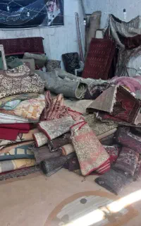 کولر فرش موکت تلویزیون