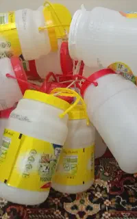 دبه های ۲کیلویی ماست