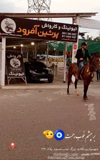 نیروی کار در کارواش