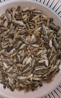 مغز تخمه آفتاب گردان آجیلی وروغنی