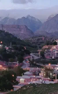 خریدارجومحلی