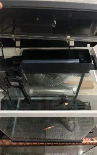آکواریوم شیشه خم