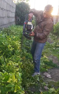 باغبانی و سمپاشی کل تهران و حومه با ضمانت و فاکتور