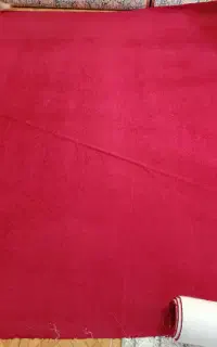 پالازموکت