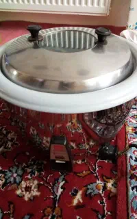 پلوپزتوشیبا