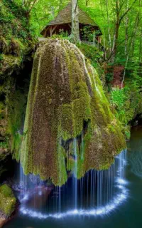 گروه و اکیپ طبیعت گردی