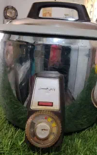 پلوپز و آرام پز پارس خزر
