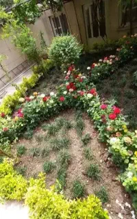 خدمات باغبانی کاشت گل وگیاه باغچه کاری خاک گلدون