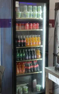 یخچال تک در اسنو استار