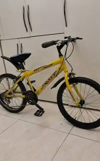 دوچرخه ۲۰ دنده دار