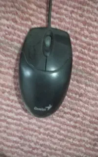 موس و کیبورد