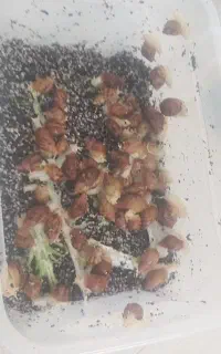 حلزون نژاد البینو