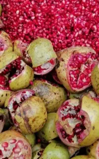 انار ترش ربی میانکاله بهشهر