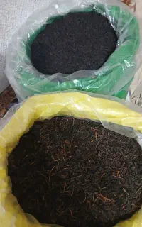 چای اصل و امساله لاهیجان مستقیم از باغدار