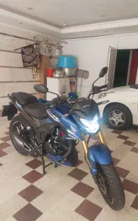 هورنت درحد