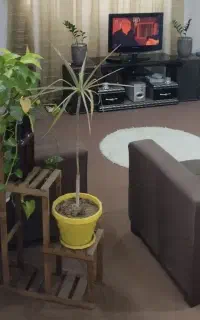 نیازمند نظافتچی