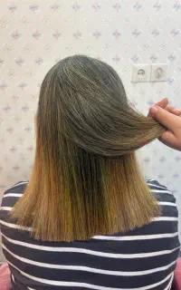 آموزش اقتصادی کراتین،پروتئین،بوتاکس مو