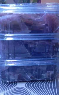 دافنی منجمد غذا ماهی