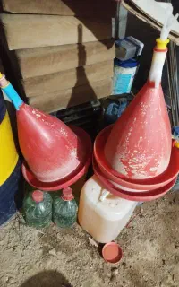 دانخوری و ابخوری بزرگ