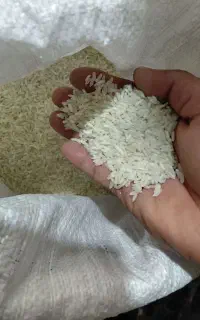 برنج