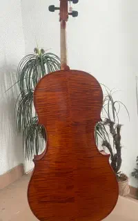 ویلنسل دست ساز حرفه ای