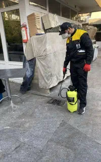 مجموعه سمپاشی حشرات سم پاشی موریانه ساس گال سوسک