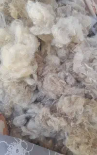 پشم گوسفندی